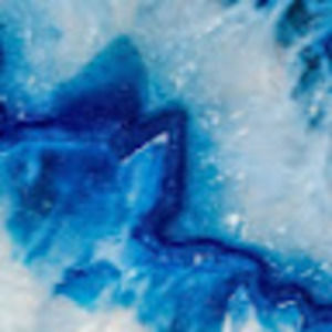 Meet your Posher, Kiley